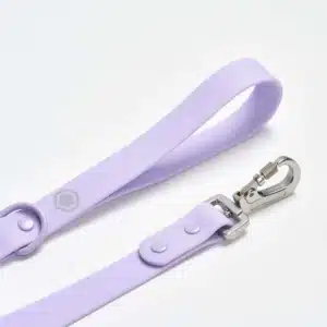 Frenchie Leash